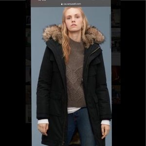 Aritzia TNA Blackcomb Parka